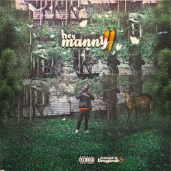 Hey Manny 2