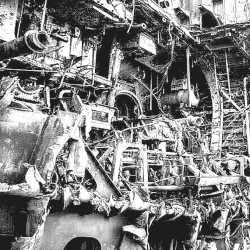 Anxiety, Words, Fluctuations Are All Toxins for Me