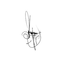 Fooiphi