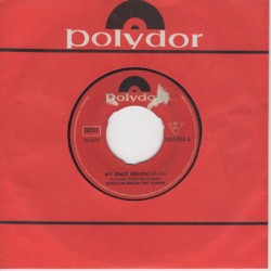 My Only Fellow / Friends Blues