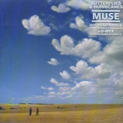 Butterflies and Hurricanes