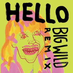 Hello (Big Wild remix)