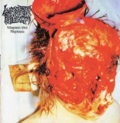 Pathogenesis Infest Phlegmsepia