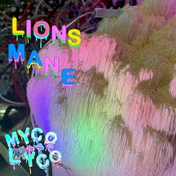 Lions Mane Goes Hard