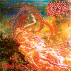 Blessed Are the Sick