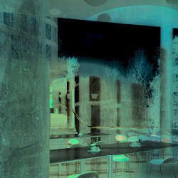 Before and After Dinner