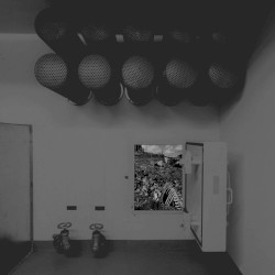 Extinction Process VI