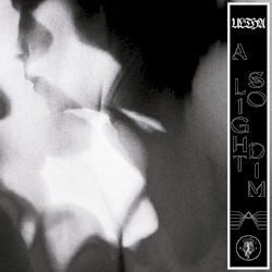 A Light So Dim