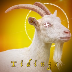TIDINGS