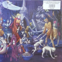 Forest of Equilibrium