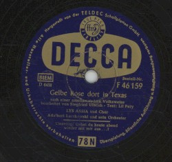 Gelbe Rose dort in Texas