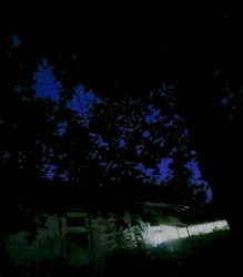 Unidentified Object [demo]