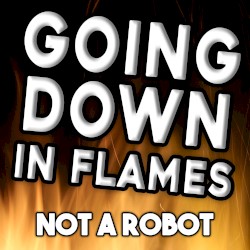 Going Down in Flames