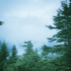 The Inventions of Circumstance