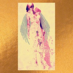 Young Boy, Old Wings