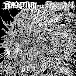 Vastum / Spectral Voice