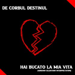 Hai Bucato La Mia Vita (Adriano Celentano interpretation)