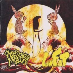 Low Fat / Onset of Serious Problems