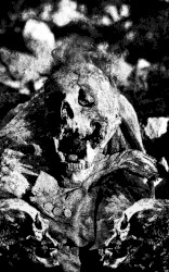 Crown of Bone / Utarm