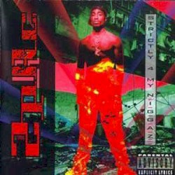 Strictly 4 My N.I.G.G.A.Z…