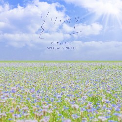 일기예보