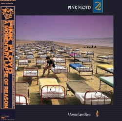 A Momentary Lapse of Reason