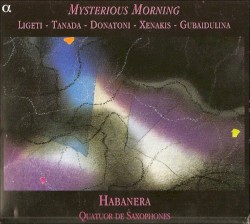 Mysterious Morning