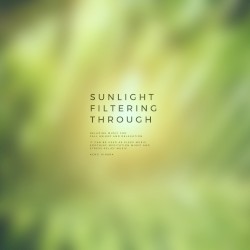 Sunlight Filtering Through