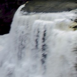 Everything Reflected Back