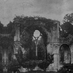 The Guide for the Saturnine