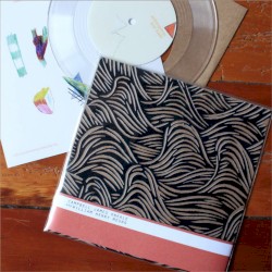 Archaeopteryx Does Haunt / The Stone Tapes