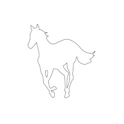 White Pony