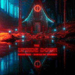 The Upside Down