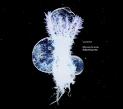 Monochrome Adventures