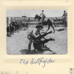 The Bullfighter