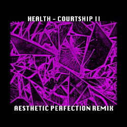 Courtship II (Aesthetic Perfection remix)