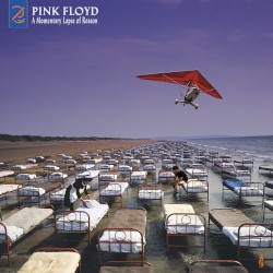 A Momentary Lapse of Reason