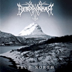 True North