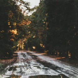 In Summer