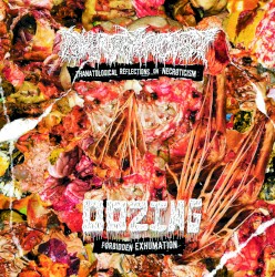 Forbidden Exhumation / Thanatological Reflections on Necroticism