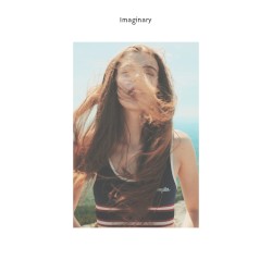 Imaginary