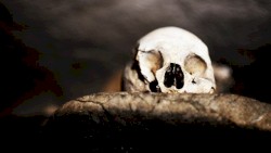 The Truth is a Cave in the Black Mountains