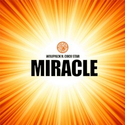 Miracle (Dimitri Vegas & Like Mike remix)