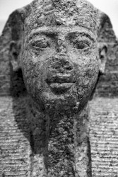 The Sandprints of Our Spiritually Dead Civilization