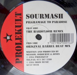 Pilgrimage To Paradise (Remix)