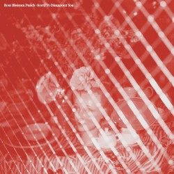 Sorry to Disappoint You