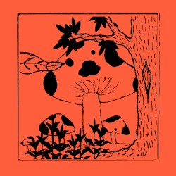 A Night of Wondering in the Garden