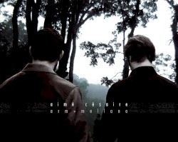 Cahier d'un retour au pays natal / Aimé Césaire