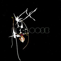 Hiatus on the Horizon