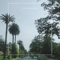 파인애플 Pineapple